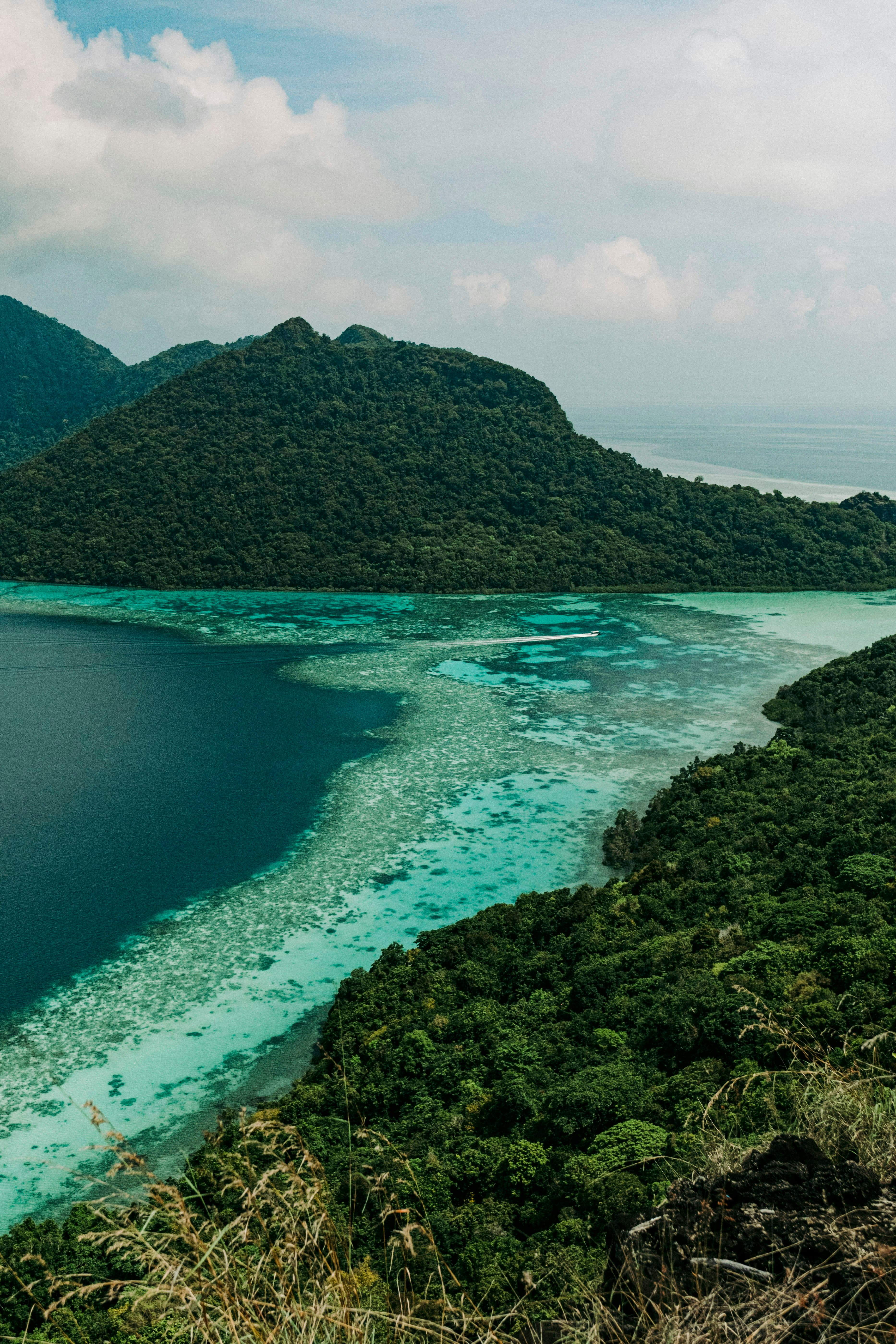 Islas Tunku Abdul Rahman: coral, orangutanes y despedida en KK