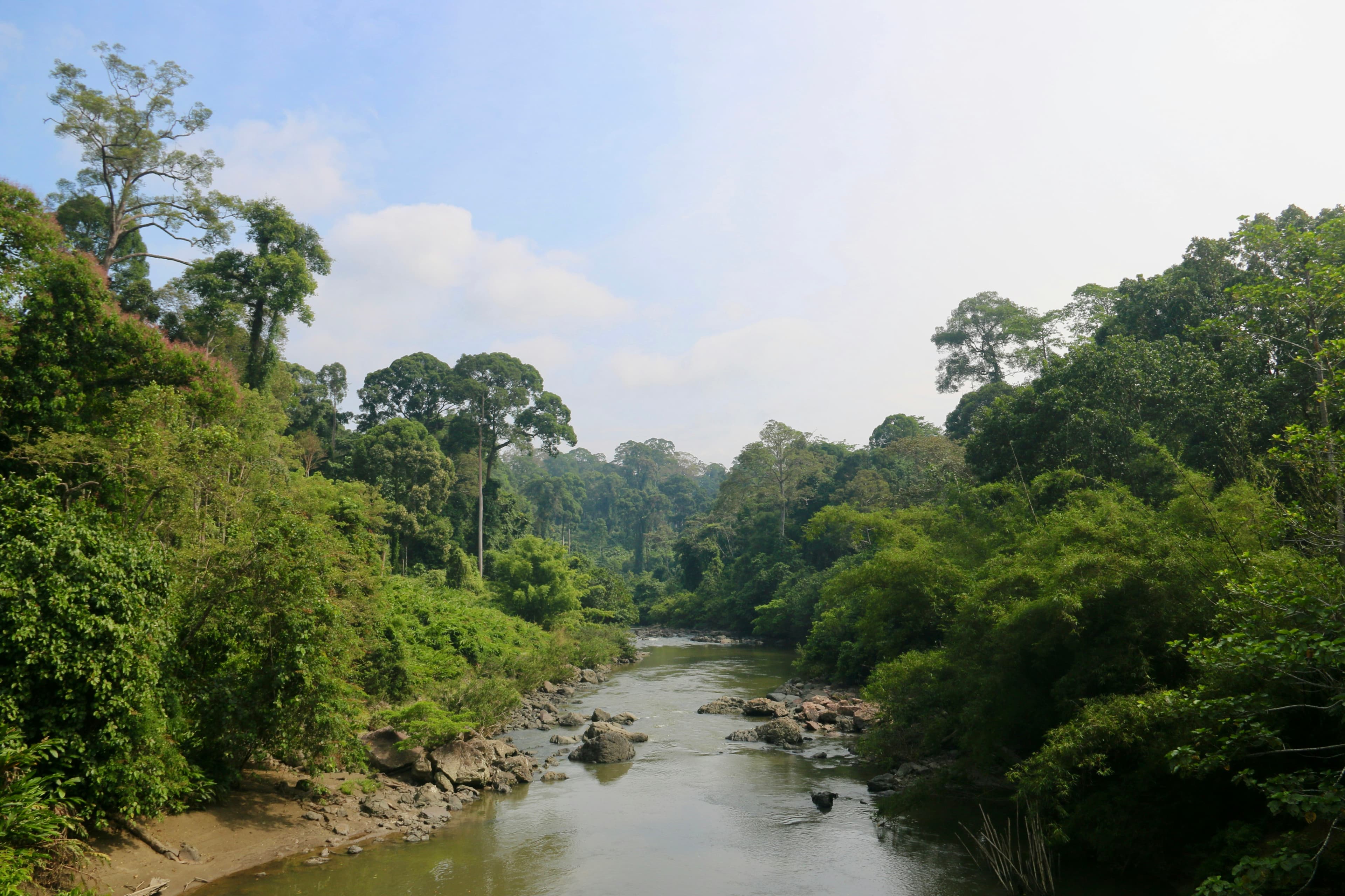 Parque Nacional Kinabalu: el techo del Sudeste Asiatico (4.095 m)